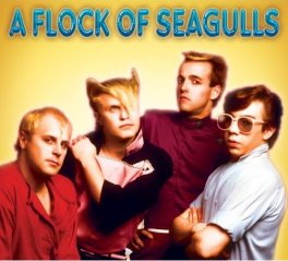 A Flock of Seagulls