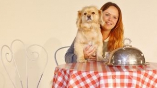 A Dog's Dinner: The Truth About Dog Food