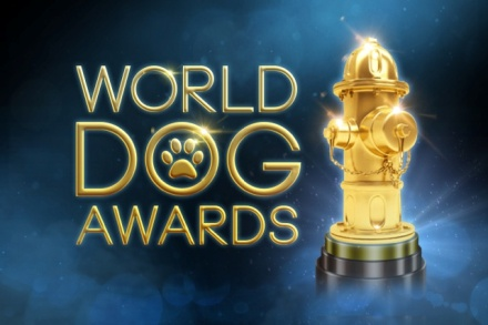 The World Dog Awards